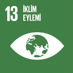 SKA 13: İklim Eylemi