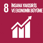 SKA 8: İnsana Yakışır İş ve Ekonomik Büyüme